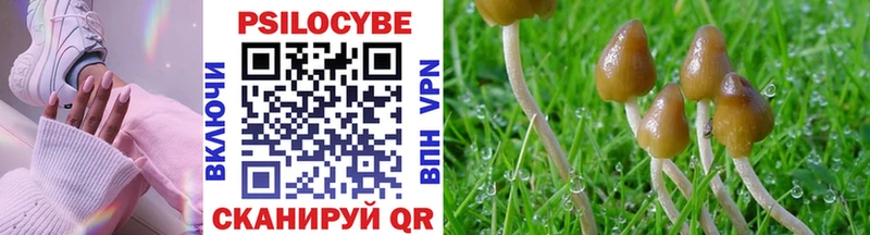 Галлюциногенные грибы Psilocybine cubensis  как найти закладки  Кушва 
